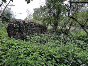 Photo 7- click for photo gallery